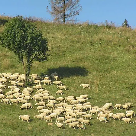 Dolinka Гостевой дом 2*